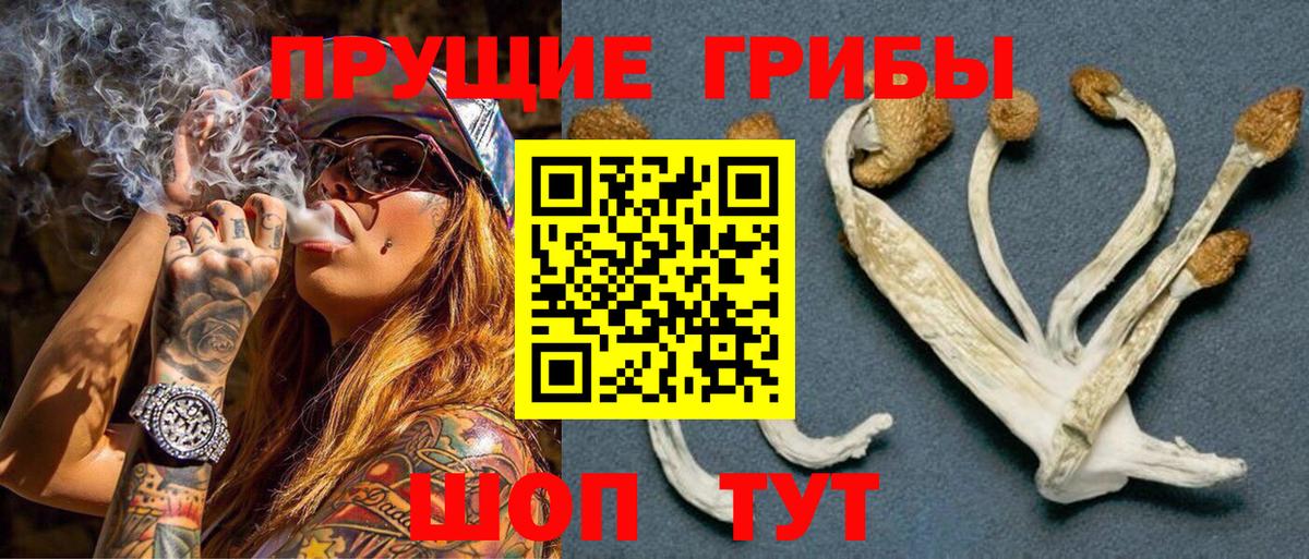 Псилоцибиновые грибы мицелий Барабинск