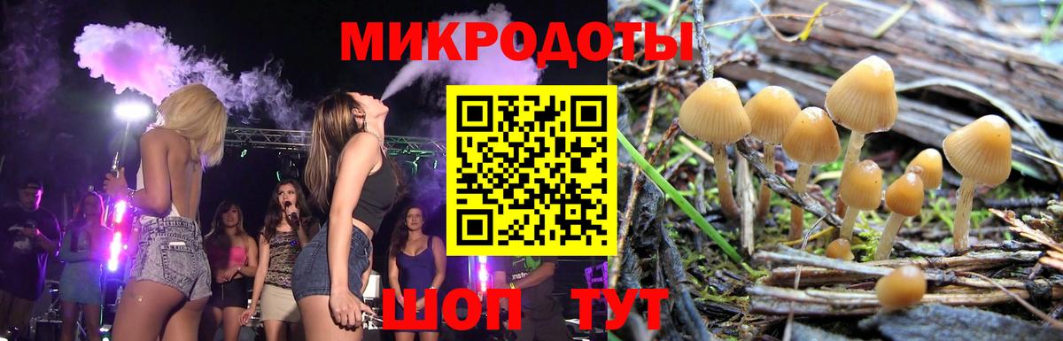 Барабинск  Галлюциногенные грибы Cubensis  Вход с VPN 